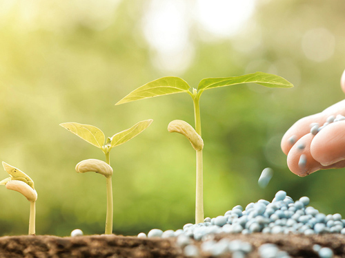 土壤修复 土壤修复