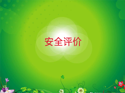 安全评价 安全评价