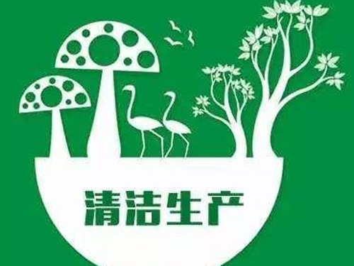 清洁生产审核 清洁生产审核